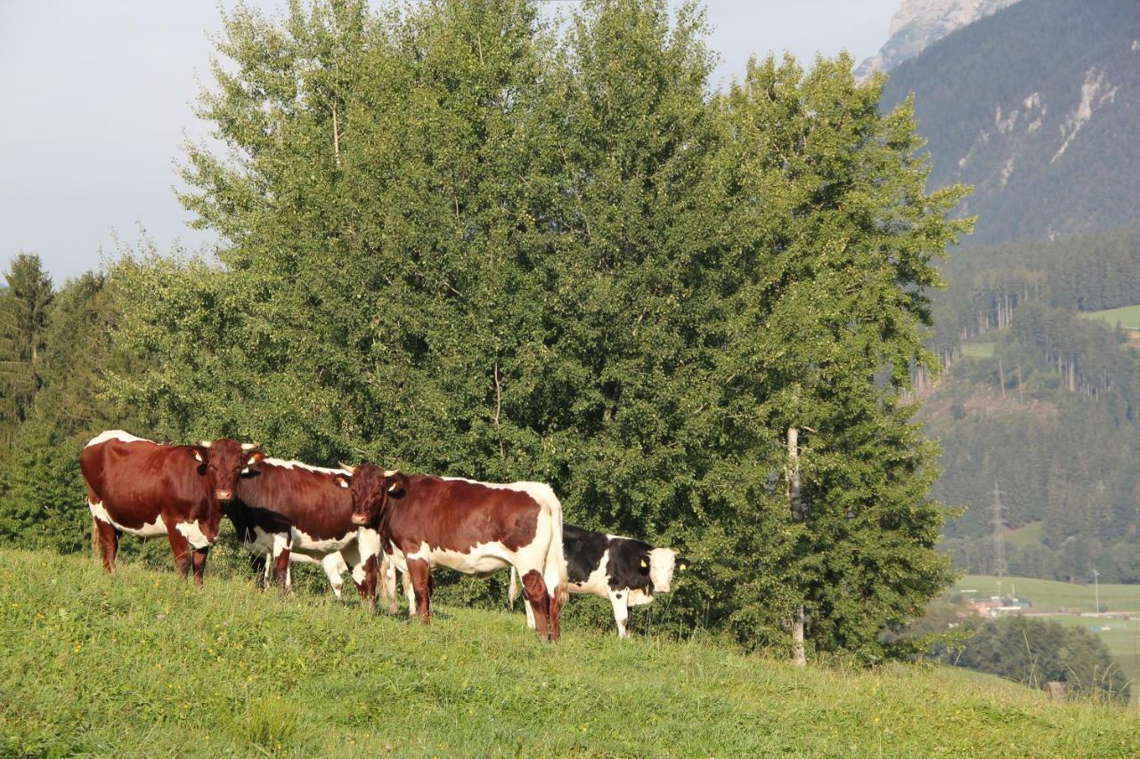 Ferienhaus Ennsling Eksteriør bilde